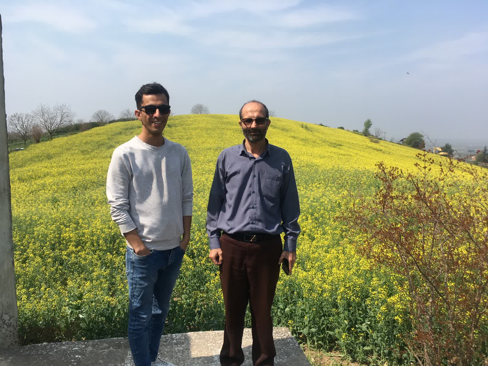 مزارع تکثیری کتان و کلزا در استان مازندران