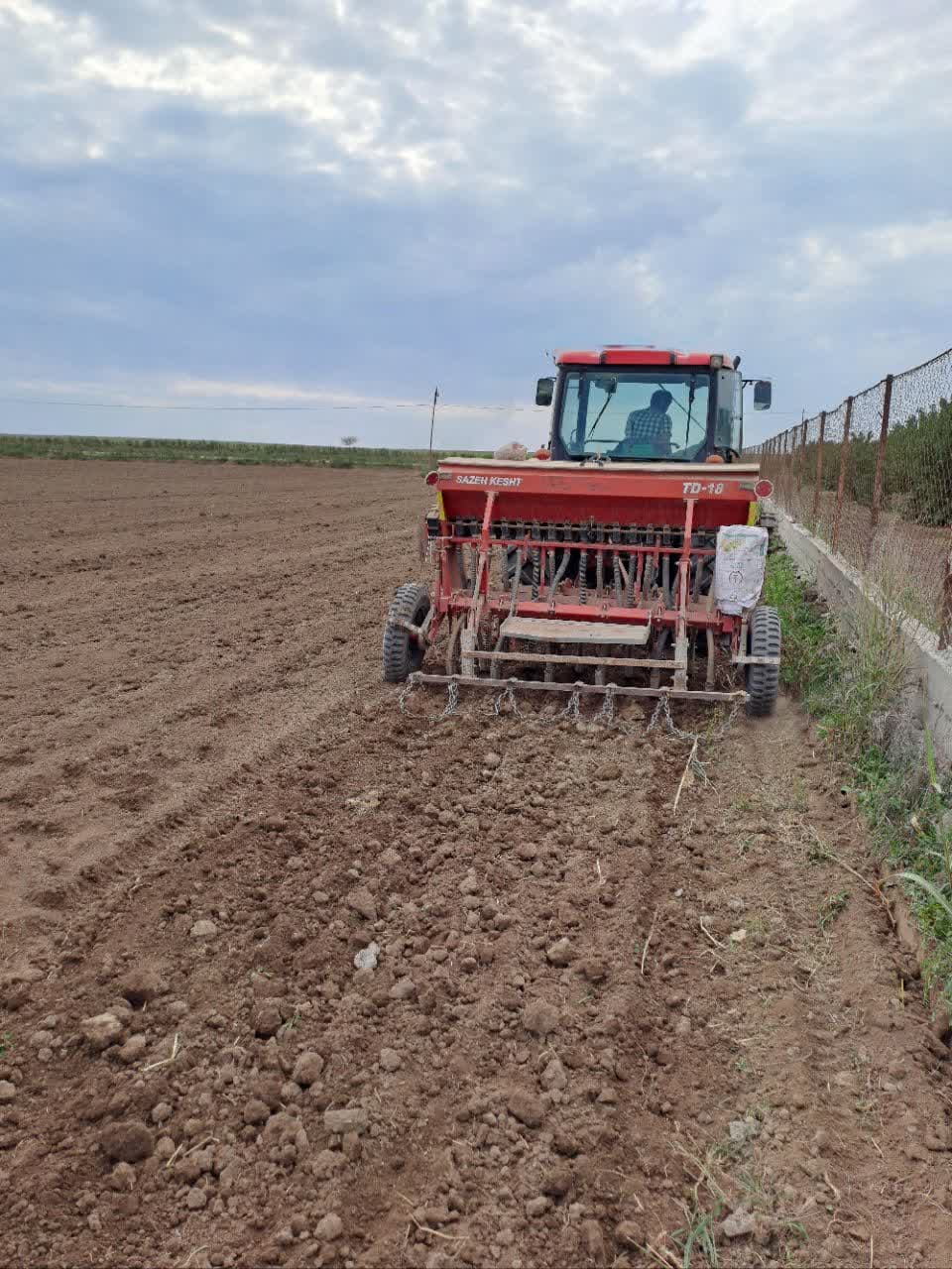 ایجاد اولین مزارع بذری کتان درشهرستان بیله سوار توسط شرکت توسعه کشت دانه های روغنی