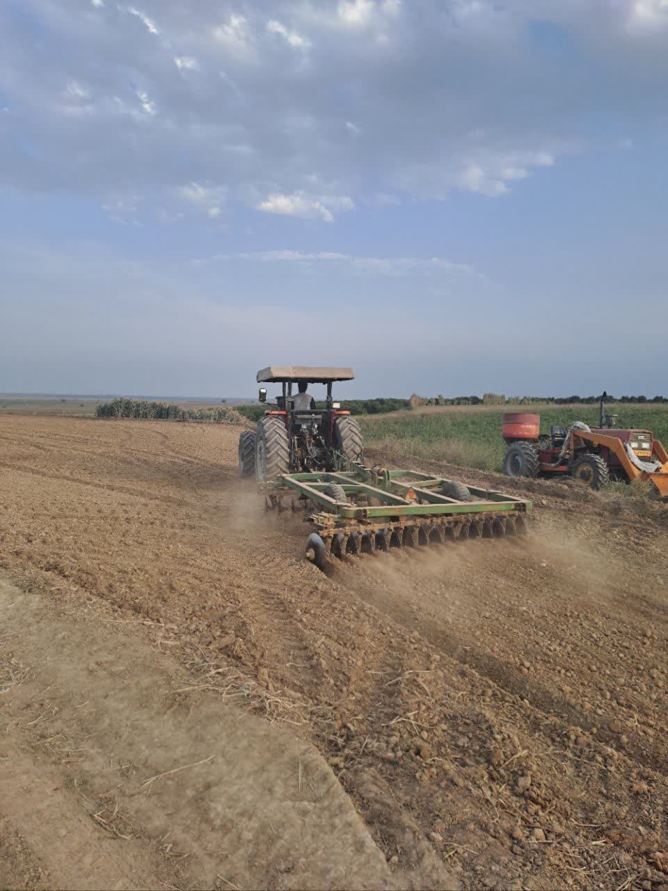 ایجاد اولین مزارع بذری کتان درشهرستان بیله سوار توسط شرکت توسعه کشت دانه های روغنی
