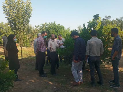 برگزاری اولین سمینار داخلی مرکز تحقیقات برگزاری اولین سمینار داخلی مرکز تحقیقات