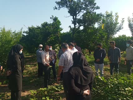 برگزاری اولین سمینار داخلی مرکز تحقیقات برگزاری اولین سمینار داخلی مرکز تحقیقات