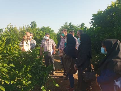 برگزاری اولین سمینار داخلی مرکز تحقیقات برگزاری اولین سمینار داخلی مرکز تحقیقات