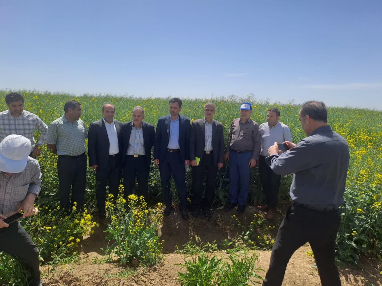بازدید مدیرکل دفتر طرح دانه های روغنی وزارتخانه جهاد کشاورزی از مزارع بذری کلزا کشت و صنعت مغان