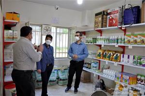 بازدید مدیر عامل محترم شرکت توسعه کشت دانه های روغنی از نمایندگیهای استان مازندران و گلستان 